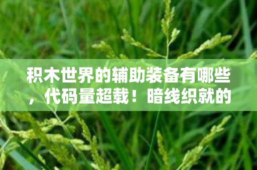 积木世界的辅助装备有哪些图片