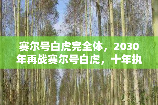2030年再战赛尔号白虎图片
