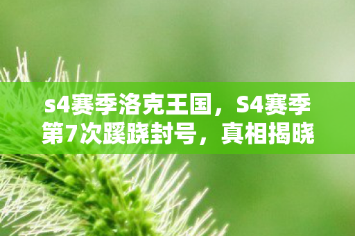 S4赛季第7次蹊跷封号图片