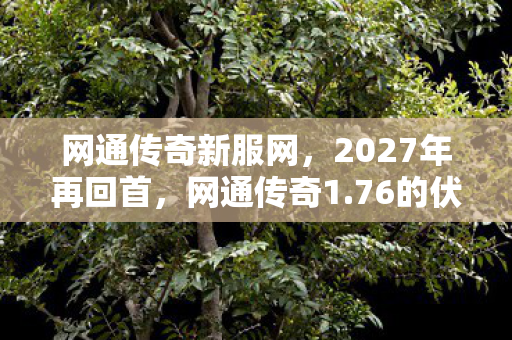 网通传奇新服网,2027年再回首,网通传奇1.76的伏笔,那些年,谁曾让我鼻子一酸? 网通传奇新服网,2027年再回首,网通传奇1.76的伏笔,那些年,谁曾让我鼻子一酸?