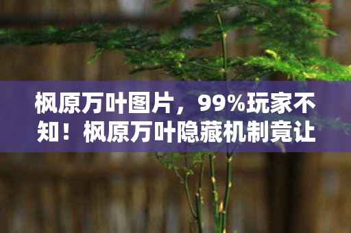 枫原万叶图片，99%玩家不知！枫原万叶隐藏机制竟让输出暴涨300%？真相颠覆认知！