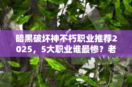 暗黑破坏神不朽职业推荐2025图片