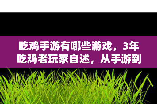 吃鸡手游有哪些游戏,3年吃鸡老玩家自述,从手游到主机,我为何成了孤勇者? 吃鸡手游有哪些游戏,3年吃鸡老玩家自述,从手游到主机,我为何成了孤勇者?