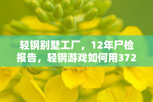 轻钢游戏如何用372次更新图片