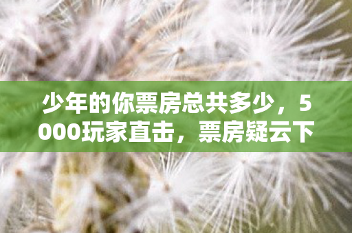 少年的你为何让老粉集体绷不住图片