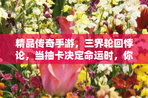 你的灵魂究竟属于谁图片