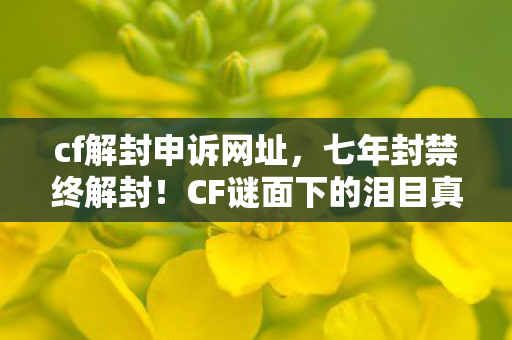 CF谜面下的泪目真相图片
