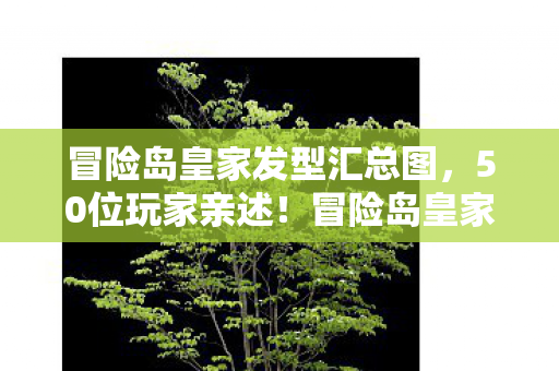冒险岛皇家发型疑点重重图片