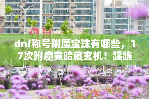 dnf称号附魔宝珠有哪些图片