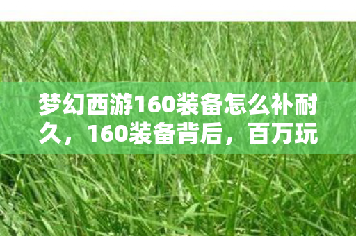 梦幻西游160装备怎么补耐久图片