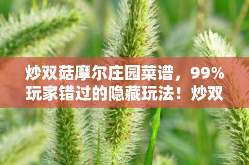 炒双菇摩尔庄园菜谱，99%玩家错过的隐藏玩法！炒双菇摩尔庄园3大体验心得，错过再等3年！
