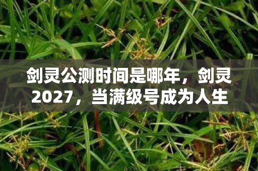当满级号成为人生负资产的终极悖论图片