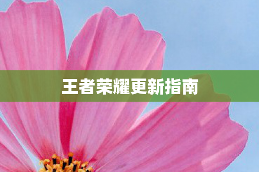 王者荣耀更新指南 王者荣耀更新指南