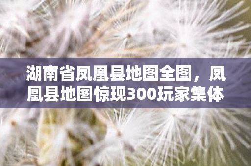凤凰县地图惊现300玩家集体破防图片