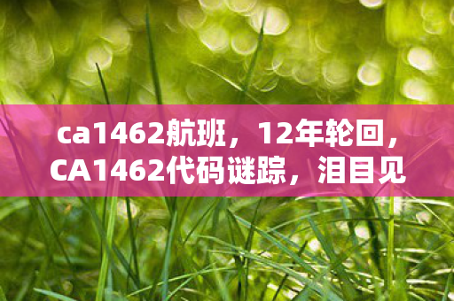 ca1462航班，12年轮回，CA1462代码谜踪，泪目见证游戏世界的重生与消逝