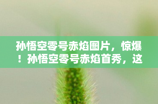 这3大震撼体验竟藏着惊天反转图片