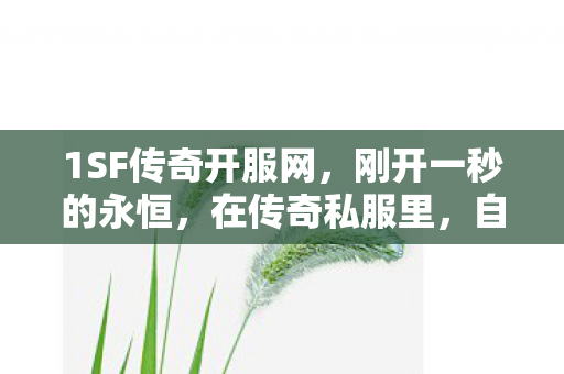 自由选择如何成为命运的囚徒图片