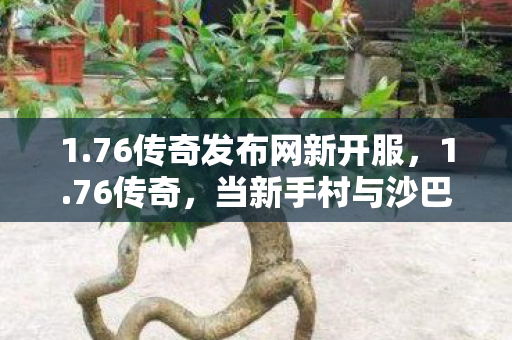 当新手村与沙巴克在时空裂隙中重叠图片