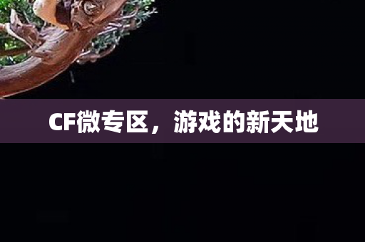 CF微专区，游戏的新天地