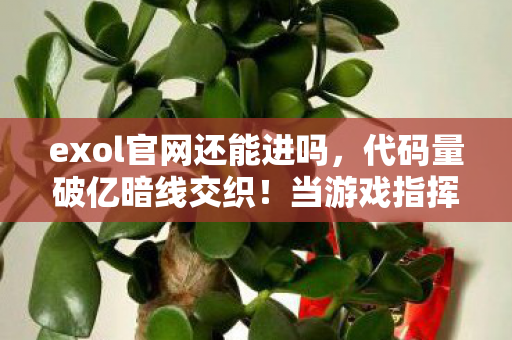 exol官网还能进吗图片