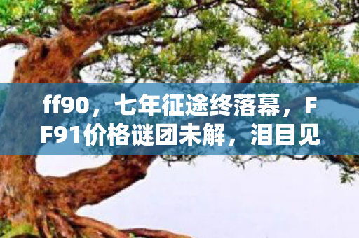 FF91价格谜团未解图片