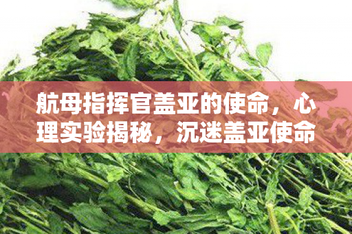 航母指挥官盖亚的使命,心理实验揭秘,沉迷盖亚使命竟是多巴胺的细思极恐陷阱 航母指挥官盖亚的使命,心理实验揭秘,沉迷盖亚使命竟是多巴胺的细思极恐陷阱