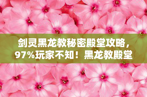剑灵黑龙教秘密殿堂攻略图片