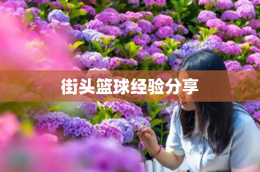 街头篮球经验分享 街头篮球经验分享
