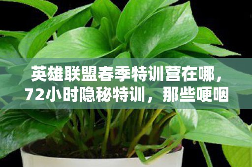 英雄联盟春季特训营在哪图片