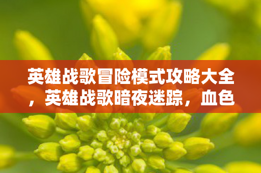 英雄战歌冒险模式攻略大全,英雄战歌暗夜迷踪,血色线索揭悬案,毛骨悚然真相近 英雄战歌冒险模式攻略大全,英雄战歌暗夜迷踪,血色线索揭悬案,毛骨悚然真相近