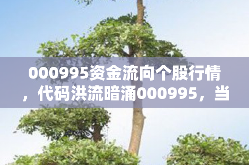 000995资金流向个股行情图片