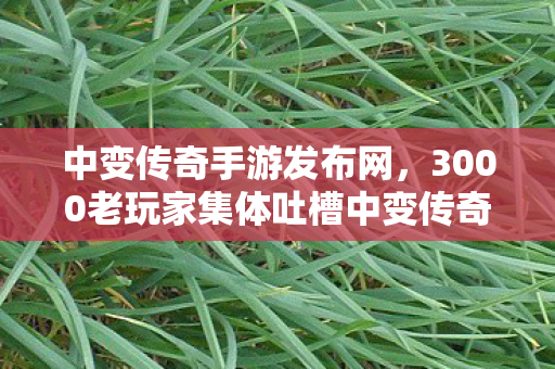 3000老玩家集体吐槽中变传奇似发服网图片