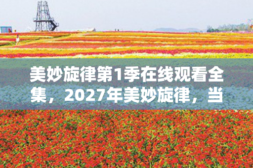 美妙旋律第1季在线观看全集图片
