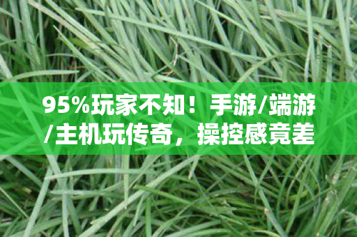 操控感竟差这么多图片