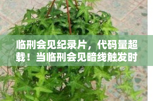 你的神经突触正在被改写图片