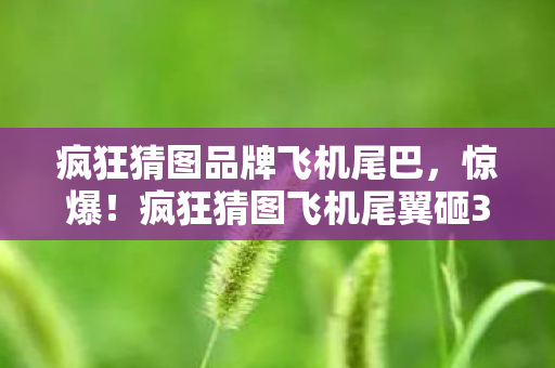 疯狂猜图飞机尾翼砸300万玩法被砍图片