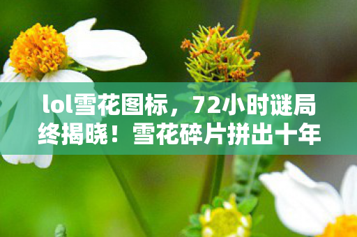 雪花碎片拼出十年亡魂录图片