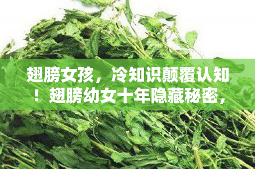 翅膀女孩，冷知识颠覆认知！翅膀幼女十年隐藏秘密，令老玩家目瞪口呆！