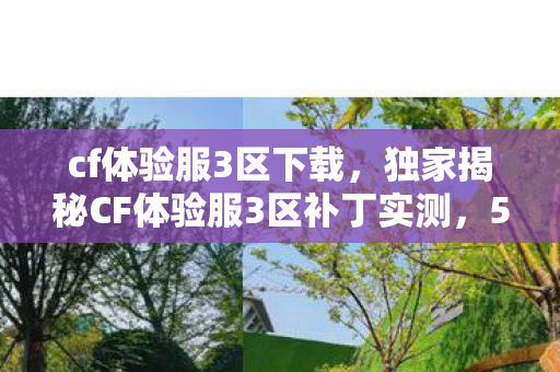 cf体验服3区下载，独家揭秘CF体验服3区补丁实测，5大革新玩法，错过体验心得等于落后一个版本！