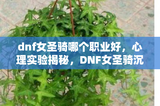 dnf女圣骑哪个职业好图片