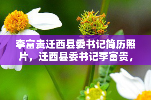 李富贵迁西县委书记简历照片,迁西县委书记李富贵,游戏满级人生负分,权力巅峰竟是灵魂荒原? 李富贵迁西县委书记简历照片,迁西县委书记李富贵,游戏满级人生负分,权力巅峰竟是灵魂荒原?