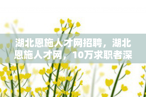 10万求职者深陷的职场迷宫图片