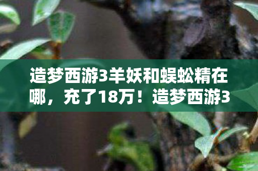 造梦西游3羊妖和蜈蚣精在哪图片