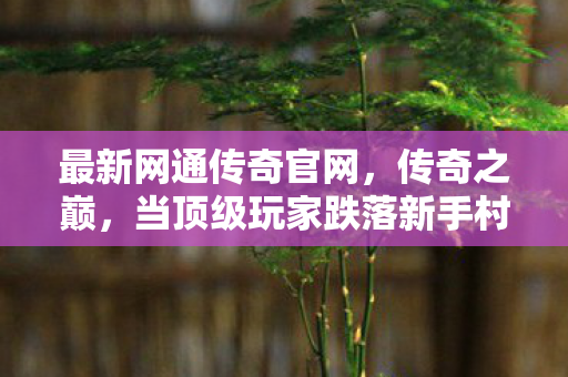 当顶级玩家跌落新手村图片