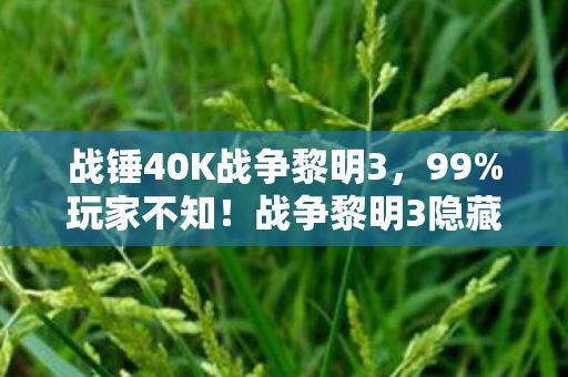 战争黎明3隐藏机制竟让菜鸟秒变战场屠夫图片