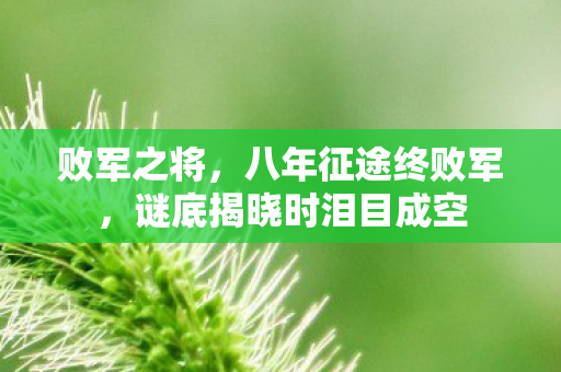 败军之将,八年征途终败军,谜底揭晓时泪目成空 败军之将,八年征途终败军,谜底揭晓时泪目成空