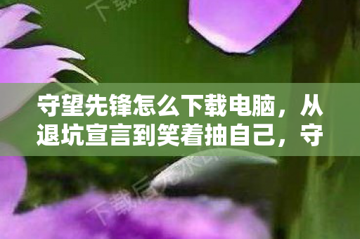 守望先锋下载真相让我笑着哭了图片