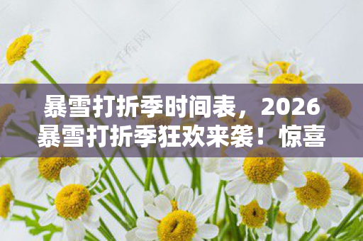 2026暴雪打折季狂欢来袭图片