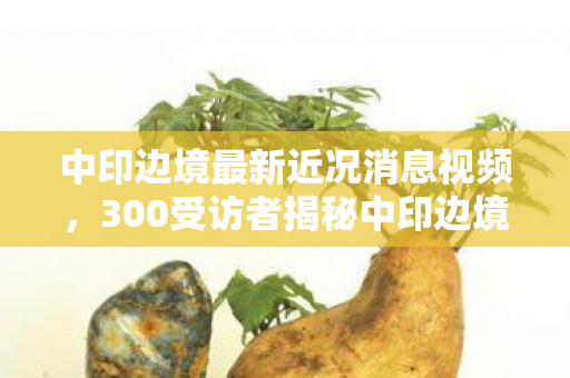中印边境最新近况消息视频,300受访者揭秘中印边境疑点,真相曝光后网友直呼绷不住! 中印边境最新近况消息视频,300受访者揭秘中印边境疑点,真相曝光后网友直呼绷不住!