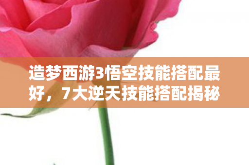 悟空战力飙升的背后藏着什么秘密图片